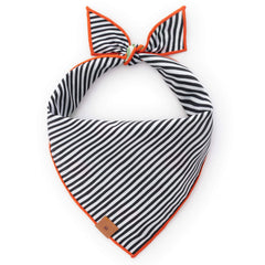 Spellbound Reversible Dog Bandana
