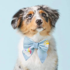 Sunshine and Rainbows Embroidered Lady Bow Collar