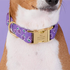 OLIPOP x TFD Classic Grape Dog Collar