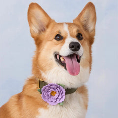 Lilac Peony Dog Collar Flower