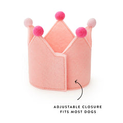 Blush Pink Dog Birthday Crown + Numbers Set