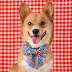 Hot Diggity Lady Dog Bow
