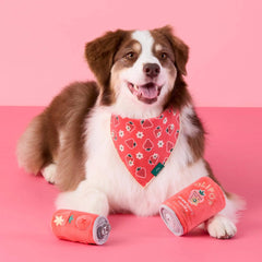 OLIPOP x TFD Strawberry Vanilla Dog Bandana